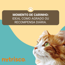 Snack Cremoso para Gatos Nutrisco Sabores Variados 56 g Pestisco